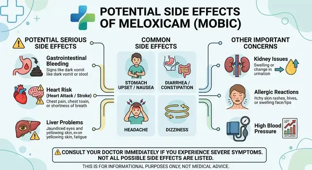 Infographic showing common and serious side effects of Meloxicam (Mobic) including stomach pain, heart risks, kidney issues, and high blood pressure.